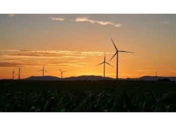 NTPC Renewable Energy