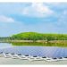 UPNEDA Floating Solar