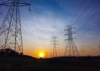 Central Electricity Authority