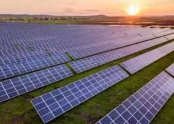 BluPine Energy
