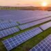 BluPine Energy