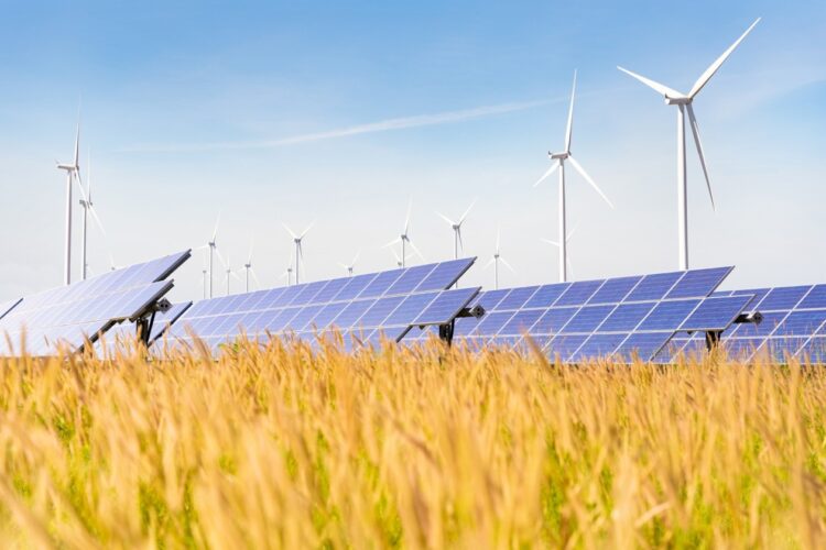 Cortec Solar