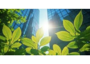 Limes Renewable Energy (Limes)