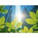 Limes Renewable Energy (Limes)