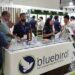 bluebird solar