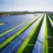 Jupiter Renewables