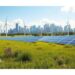 WattPower and Solarium Green Energy