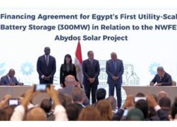 Egypt AMEA Power
