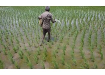 Watershed Organisation Trust