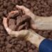 Iron Ore Pellets Market