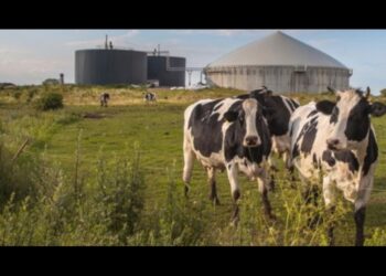 Biogas