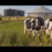 Biogas