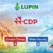 Lupin