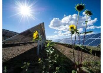 Radiance Renewables