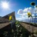 Radiance Renewables