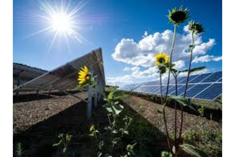 Radiance Renewables