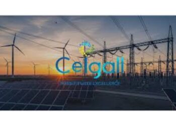 Ceigall India