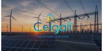 Ceigall India
