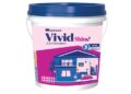 Vivid Shine