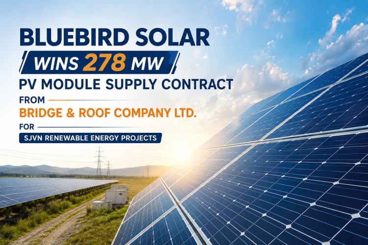 278 MW solar PV module supply order